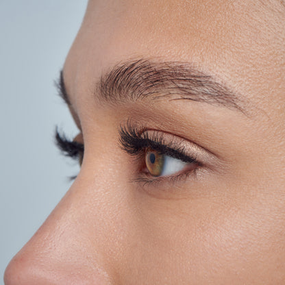 KISS So Natural False Eyelashes, ‘Shy Natural’, 8mm-10mm, Natural Volume, 5 Pairs